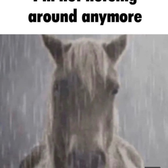 Meet your Posher, Tonka Jahari - Picture 3 of 12